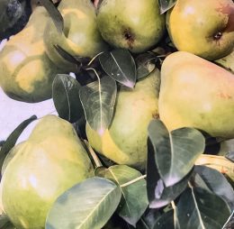 Par Columnar „P33” – soi de vara