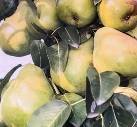 Par Columnar „P33” – soi de vara