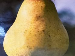 Par – Diuses – soi de vara