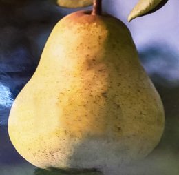 Par – Diuses – soi de vara