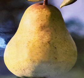 Par – Diuses – soi de vara