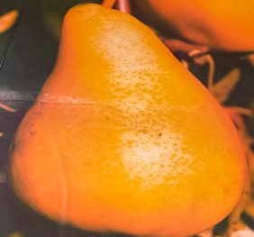 Par – Malaita – soi de vara