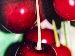 Vi?in – Tarzii – soi tarziu