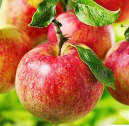 Mar – Delicios de Voinesti