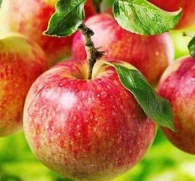 Mar – Delicios de Voinesti